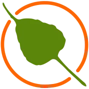 Bodhi Linux