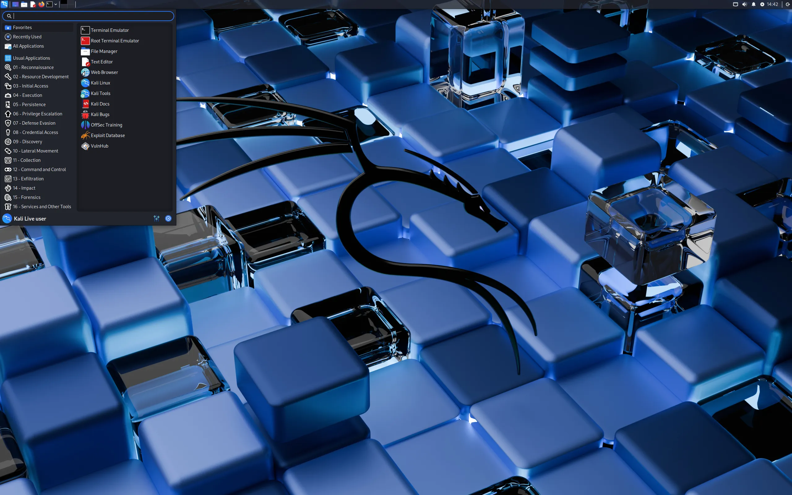 Kali Linux Screenshot 2
